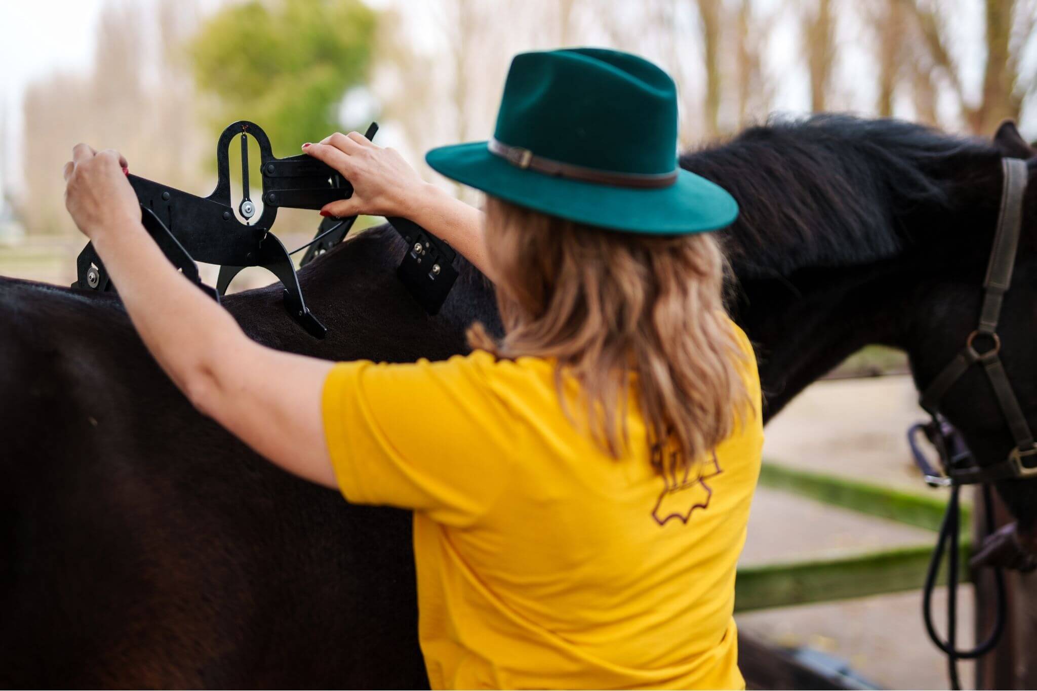 Leeratelier-IZA | Rugmeting paard | WOW